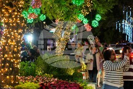 South Africa Christmas Holiday Lights