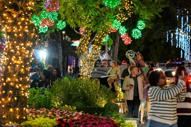 South Africa Christmas Holiday Lights