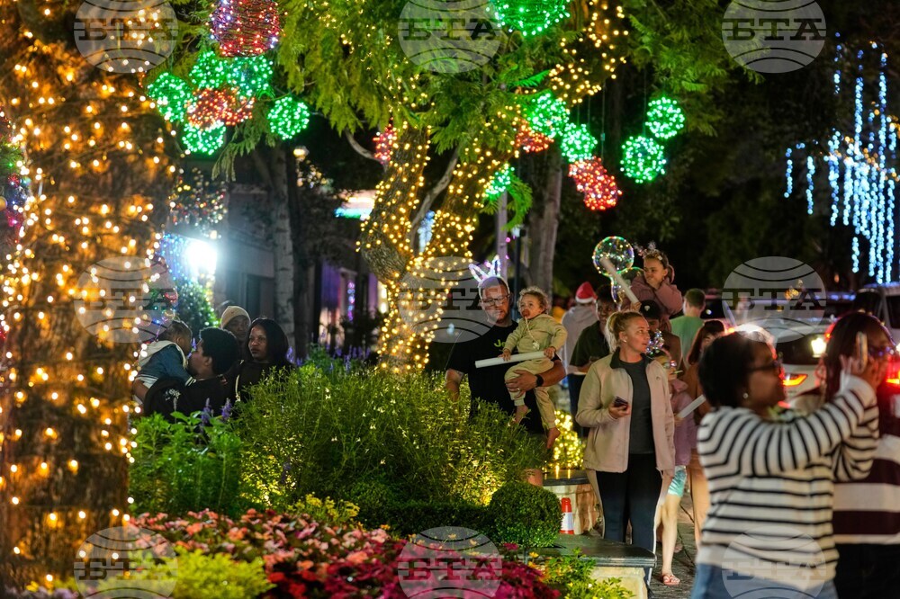 South Africa Christmas Holiday Lights