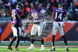 Ravens Bengals Football