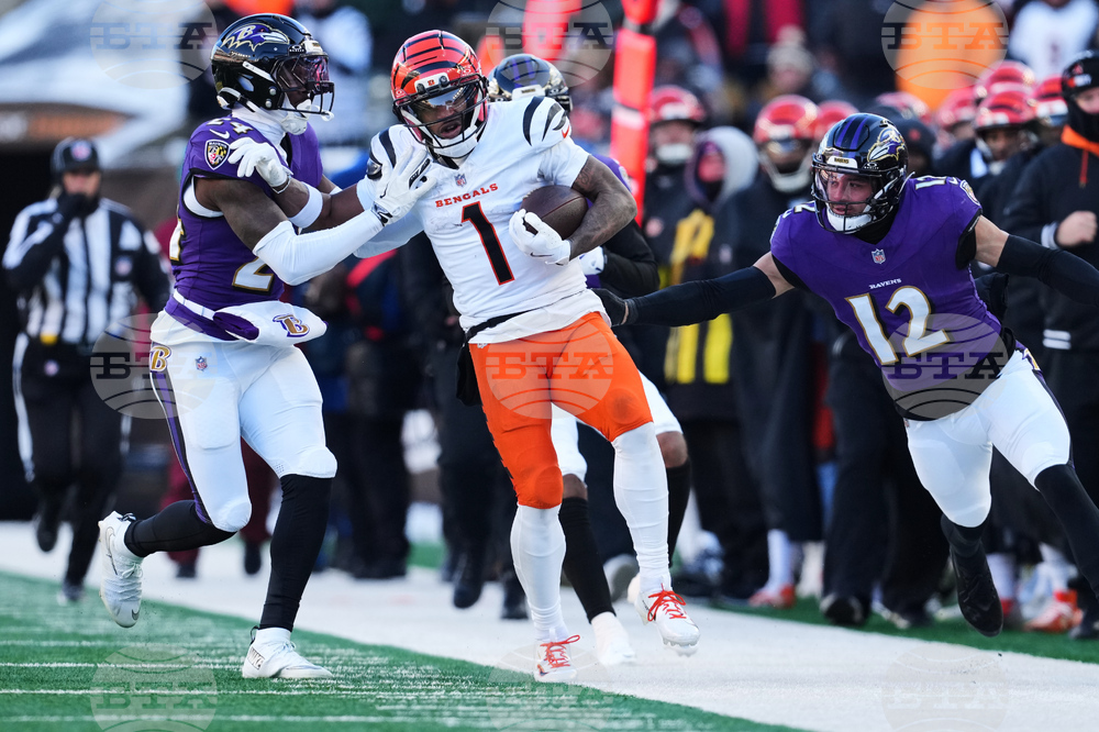 Ravens Bengals Football