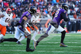 Ravens Bengals Football