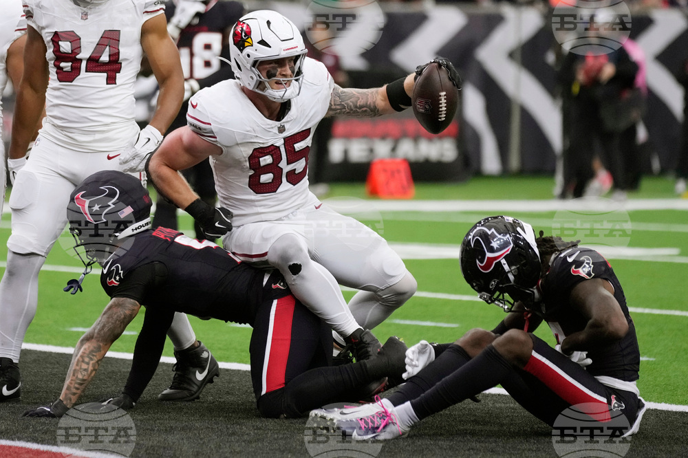 APTOPIX Cardinals Texans Football