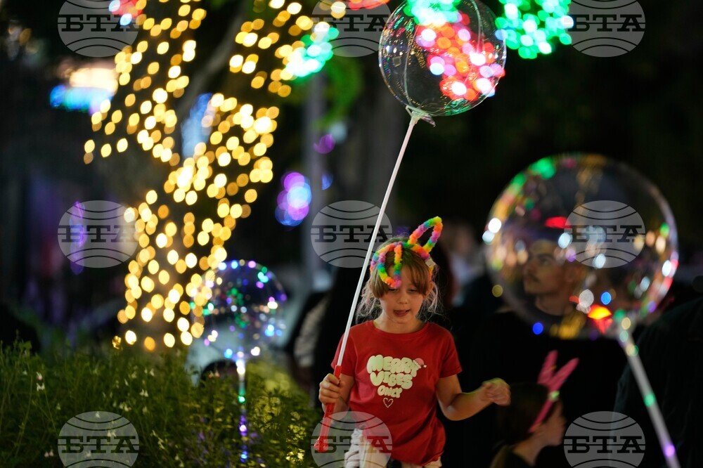 South Africa Christmas Holiday Lights