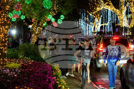 South Africa Christmas Holiday Lights