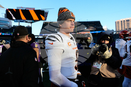 Ravens Bengals Football