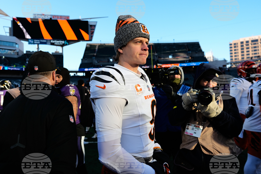 Ravens Bengals Football