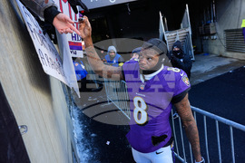 Ravens Bengals Football