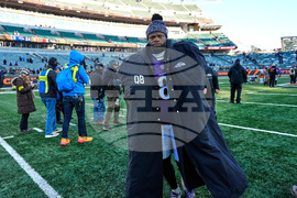 Ravens Bengals Football