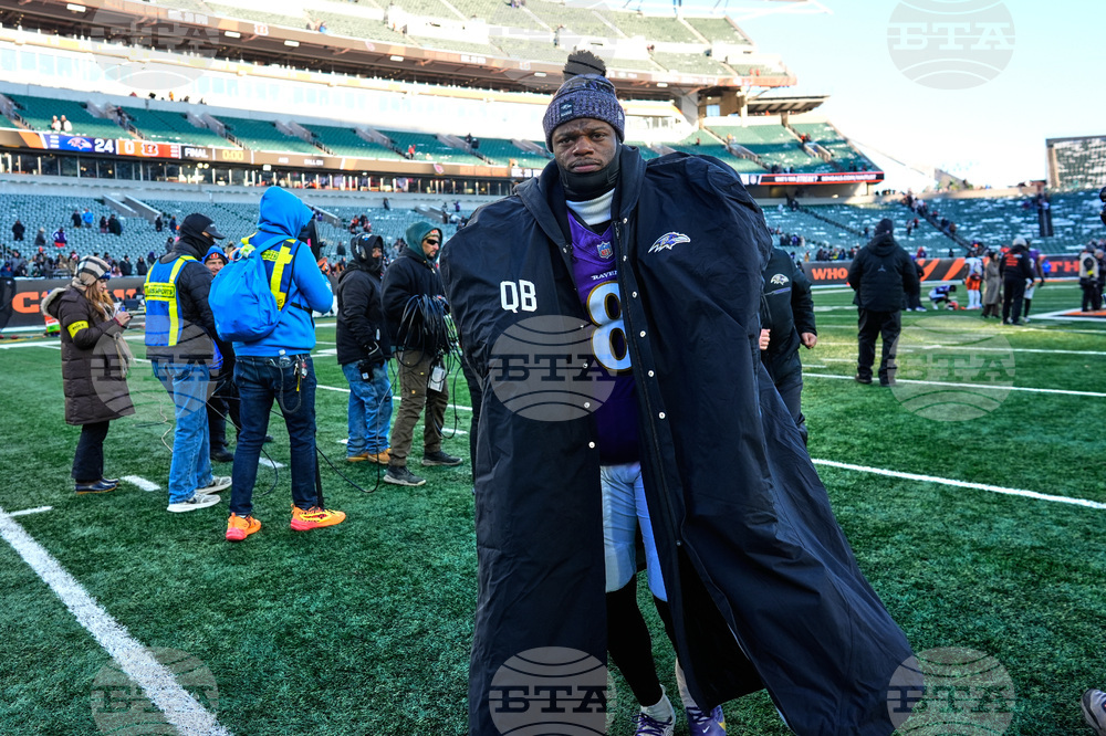 Ravens Bengals Football