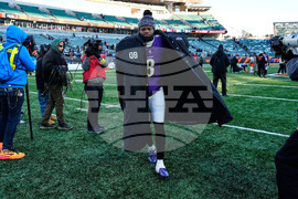 Ravens Bengals Football