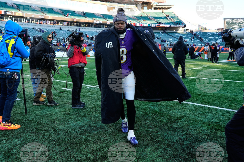 Ravens Bengals Football