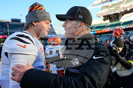 Ravens Bengals Football