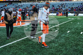 Ravens Bengals Football