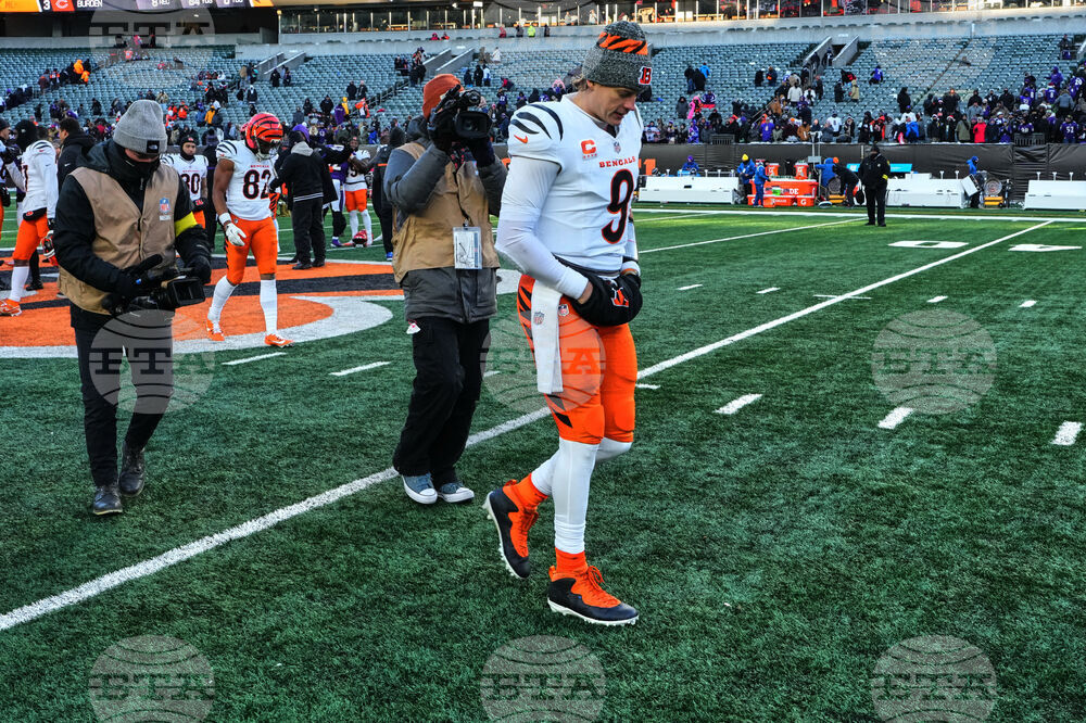 Ravens Bengals Football