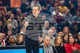 Hornets Cavaliers Basketball