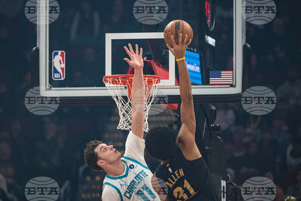 Hornets Cavaliers Basketball