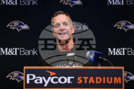 Ravens Bengals Football