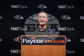 Ravens Bengals Football