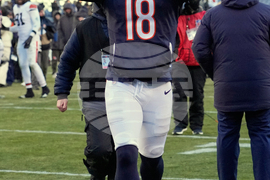 Browns Bears Football