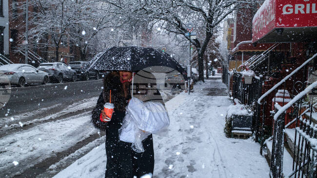 Стотици полети бяха отменени, след като зимна буря с обилни снеговалежи връхлетя Ню Йорк и някои от североизточните щати на САЩ