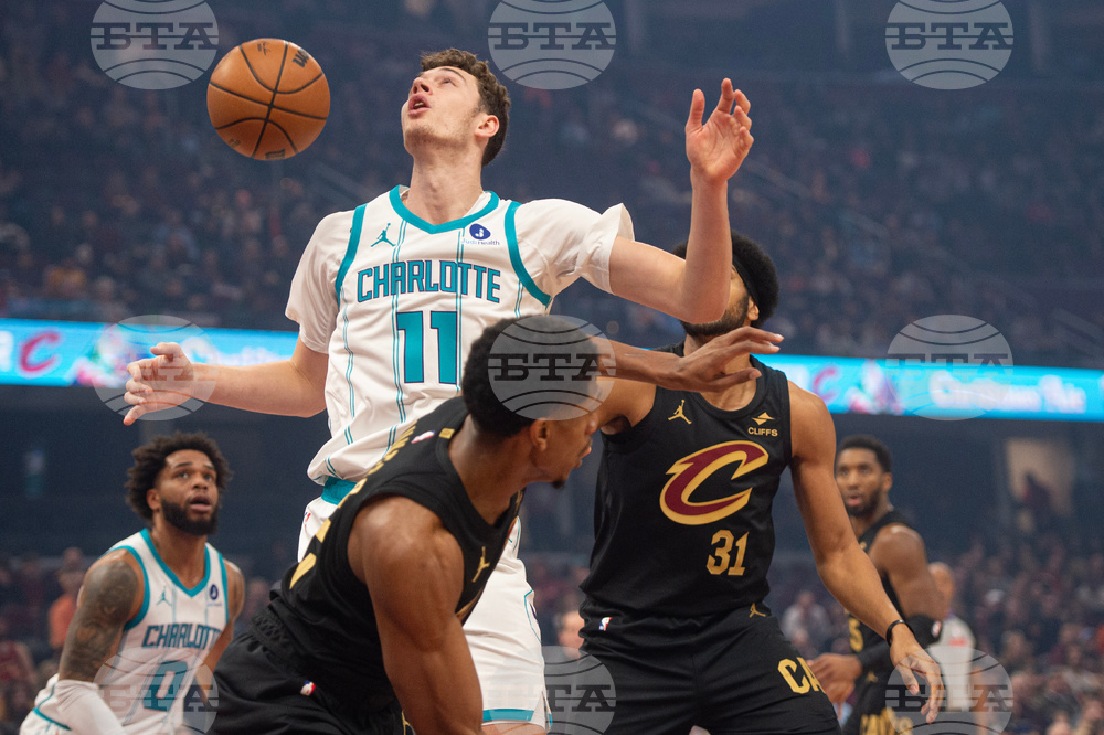 Hornets Cavaliers Basketball