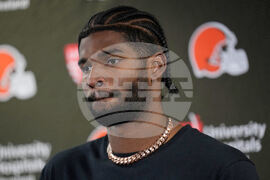 Browns Bears Football