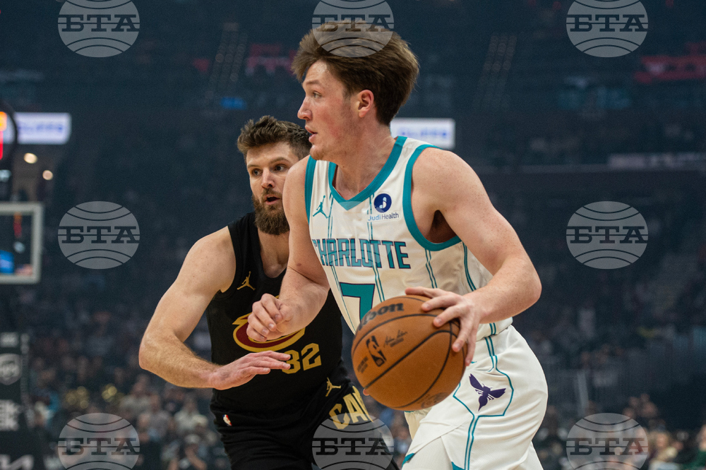 Hornets Cavaliers Basketball