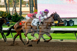 Los Alamitos Horse Racing