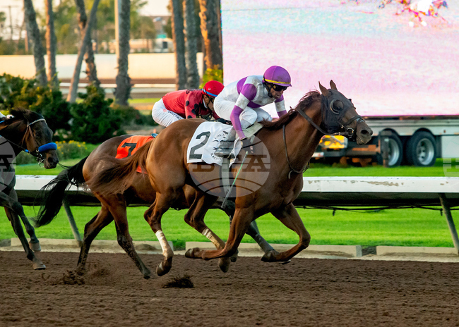 Los Alamitos Horse Racing