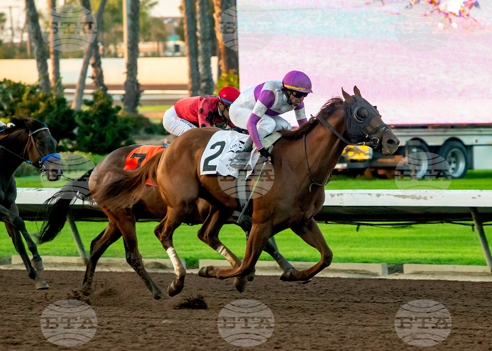 Los Alamitos Horse Racing