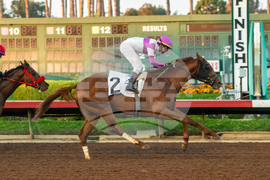 Los Alamitos Horse Racing