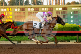 Los Alamitos Horse Racing