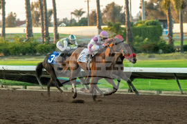Los Alamitos Horse Racing