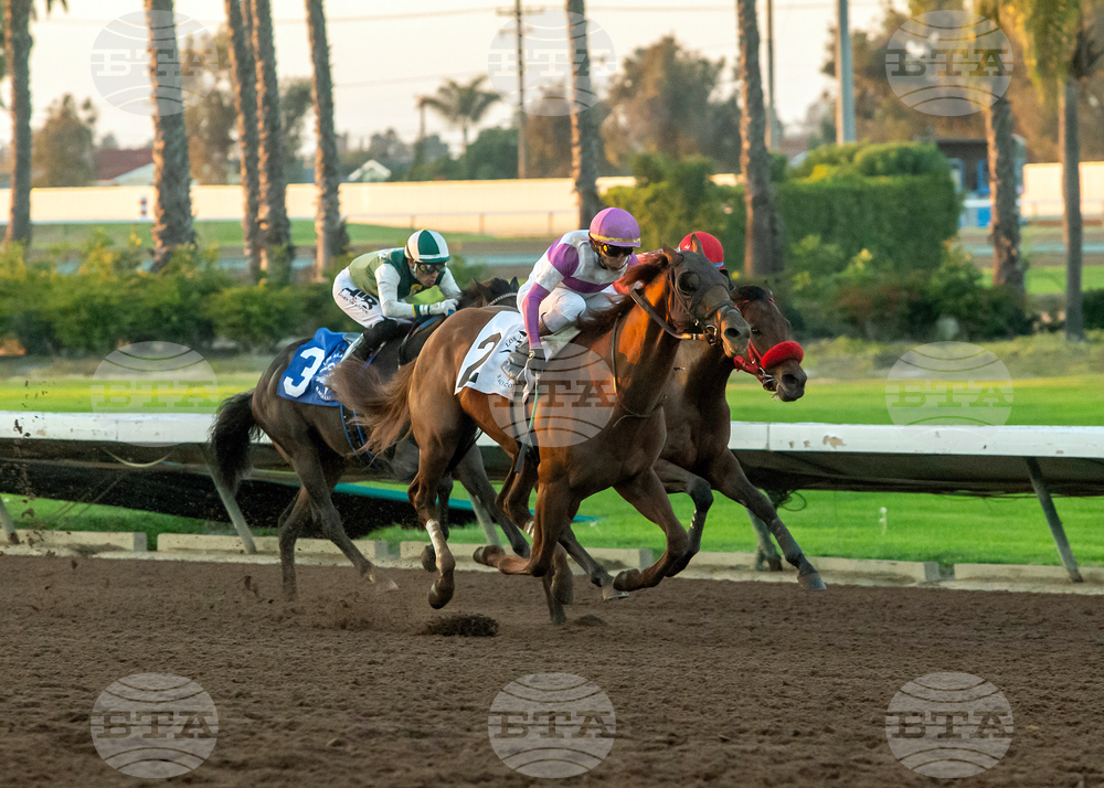 Los Alamitos Horse Racing