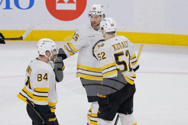 Bruins Wild Hockey