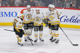 Bruins Wild Hockey