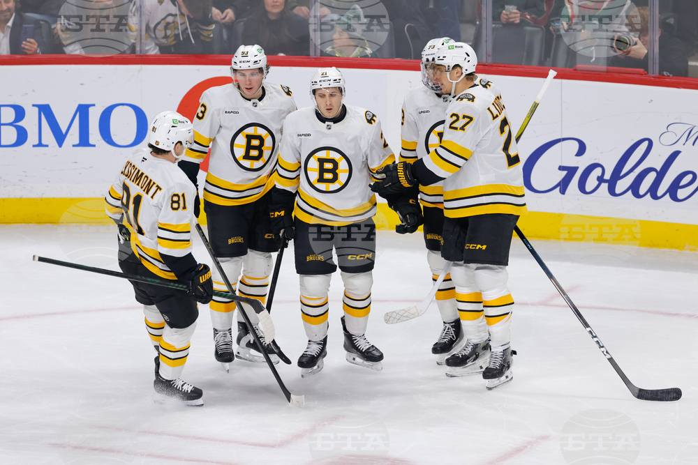 Bruins Wild Hockey