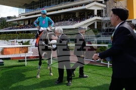 Venezuela Horse Race