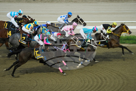 Venezuela Horse Race