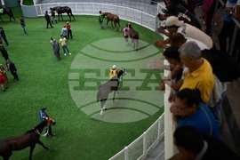 Venezuela Horse Race