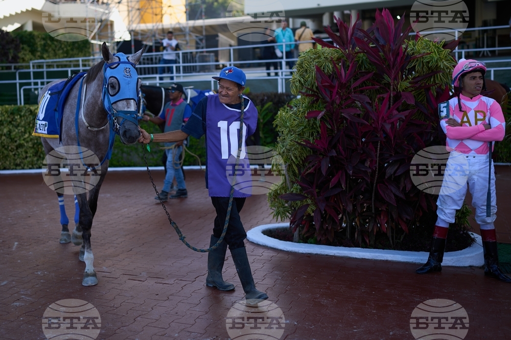 Venezuela Horse Race