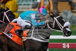 Venezuela Horse Race