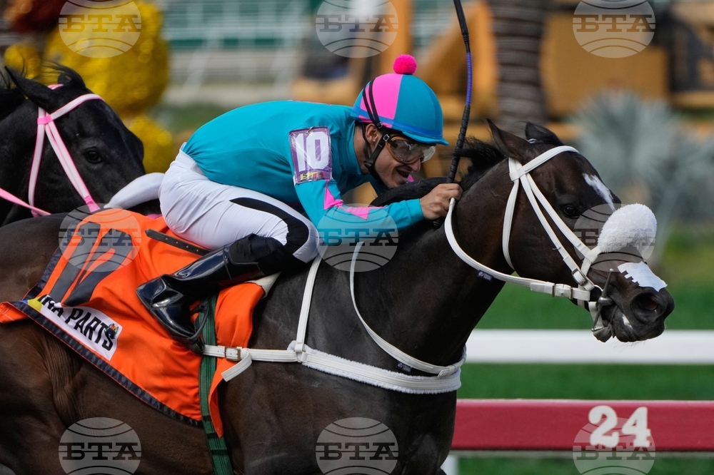 Venezuela Horse Race