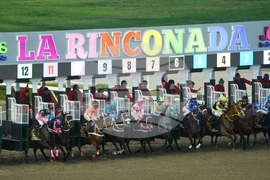Venezuela Horse Race
