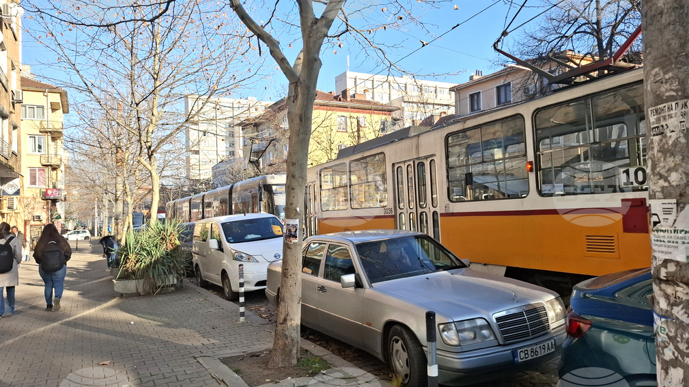 Паднало дърво в района на Семинарията временно затрудни движението на трамваи 10 и 15 в столицата