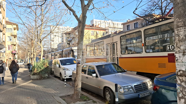 Паднало дърво в района на Семинарията временно затрудни движението на трамваи 10 и 15 в столицата