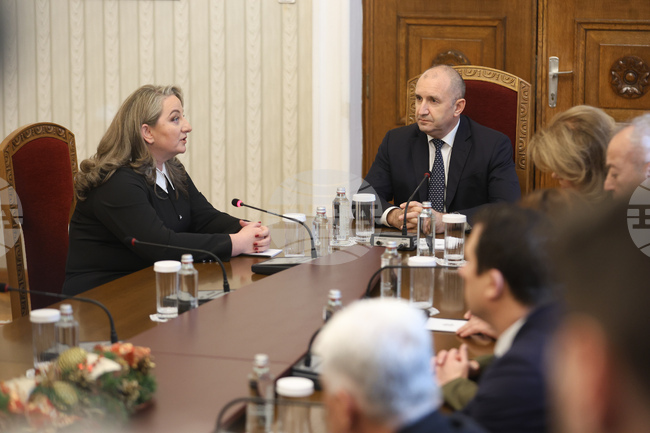 Президент - ГЕРБ-СДС - консултации