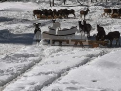 Снимка: Южноцентрално държавно предприятие – гр. Смолян