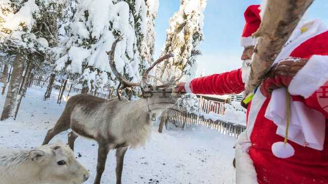 Регионалния природонаучен музей в Пловдив организира коледна работилница за деца